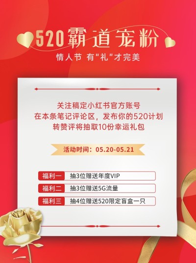 520节日营销宣传小红书配图