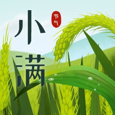 小满节气手绘插画公众号次图