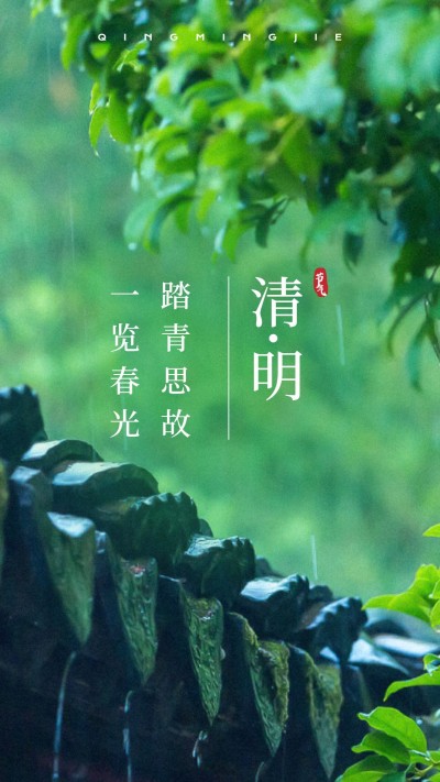 清明-节气祝福实景手机海报