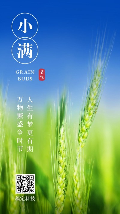 小满节气实景手机海报