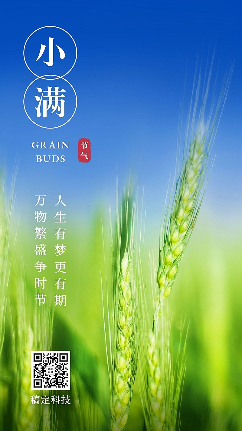 小满节气实景手机海报