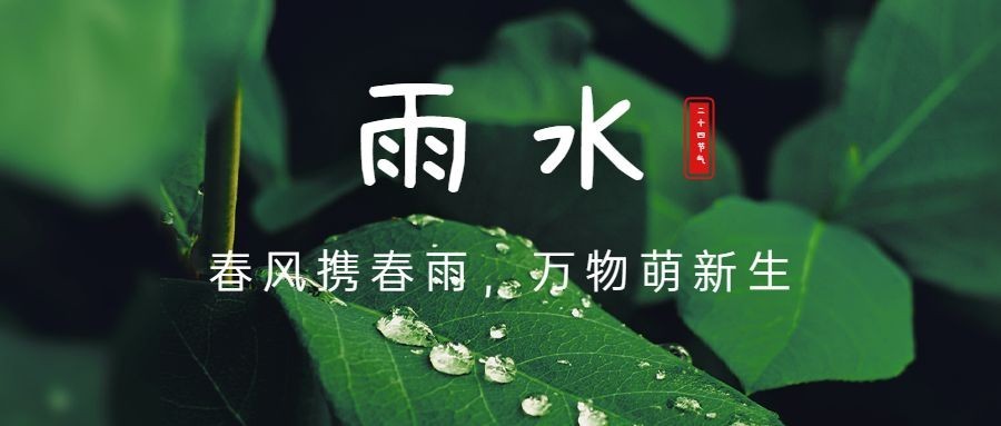 雨水节气祝福水滴公众号首图预览效果