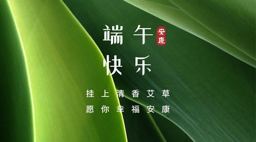 端午节安康快乐团圆祝福广告banner
