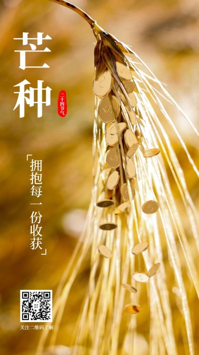 金融保险芒种节日节气麦穗金融海报