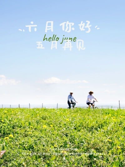 六月月初问候晒照简约风plog模板