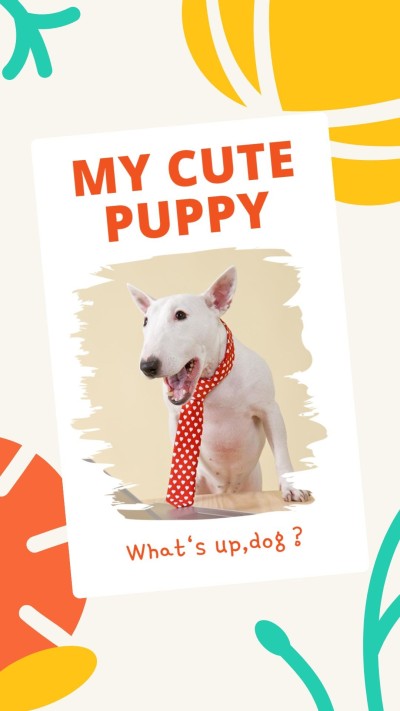 Fashion Color Block Decorate Pet Dog Photo  Instagram Story
