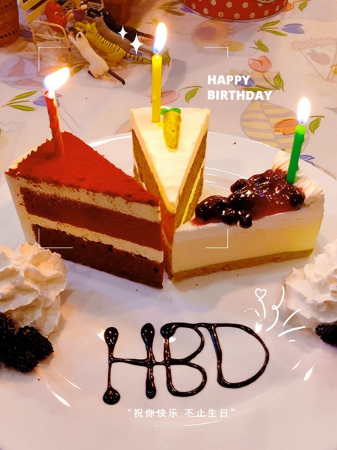 生日祝福生活分享文艺风plog模板预览效果