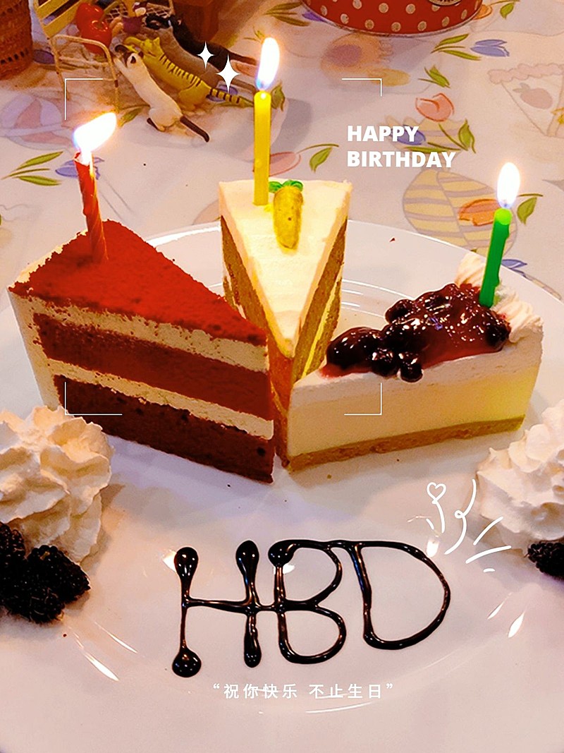 生日祝福生活分享文艺风plog模板