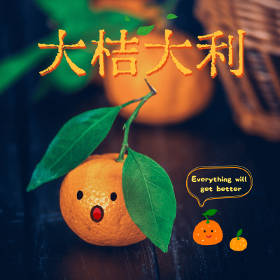 春节晒图春节祝福新年祝福春节新年大桔大利节日祝福plog模板