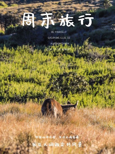 周末晒风景日常分享文艺风plog模板