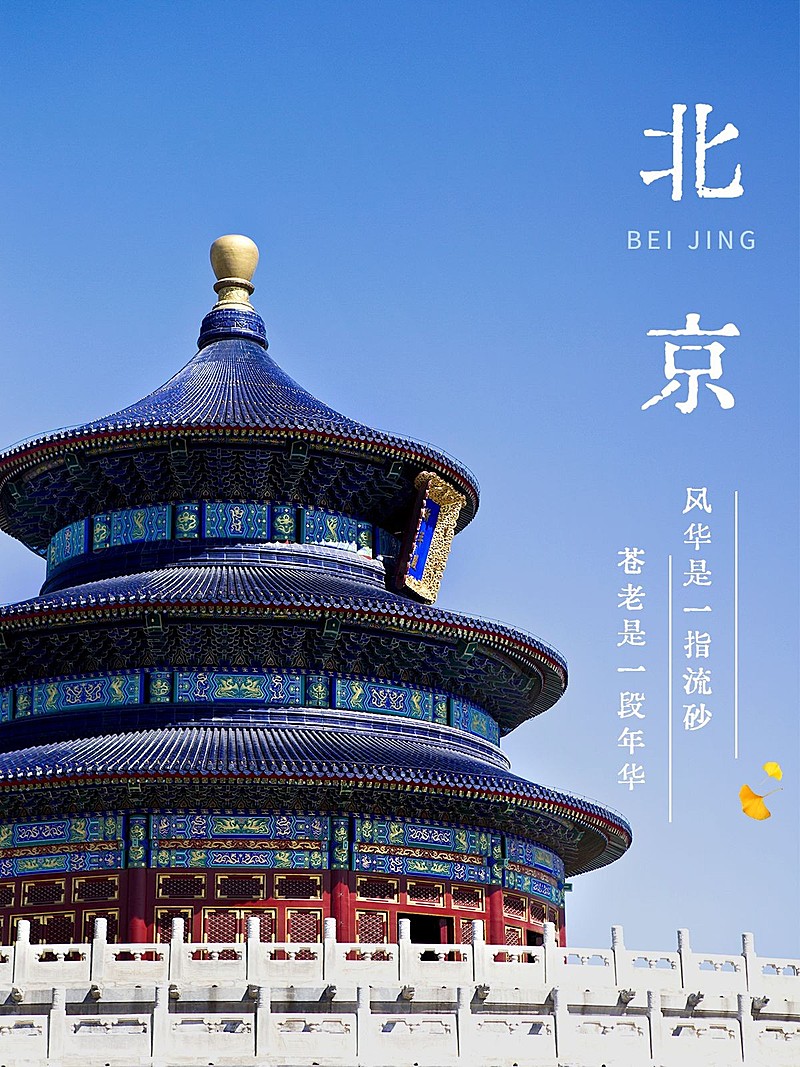 热门城市旅游记录简约风plog模板