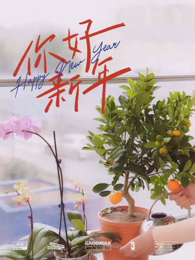 春节晒图春节祝福新年祝福情侣新年元旦跨年情侣奔跑晒照plog模板