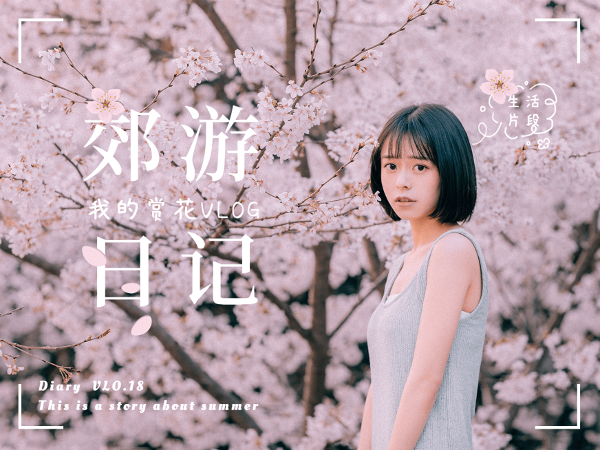 VLOG郊游赏花散步自拍界面风plog模板预览效果