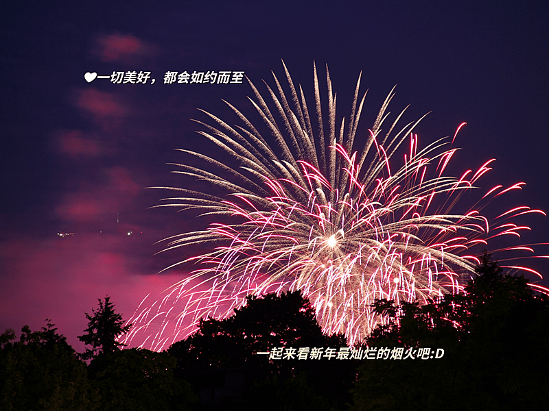 春节晒图春节祝福新年祝福plog模板