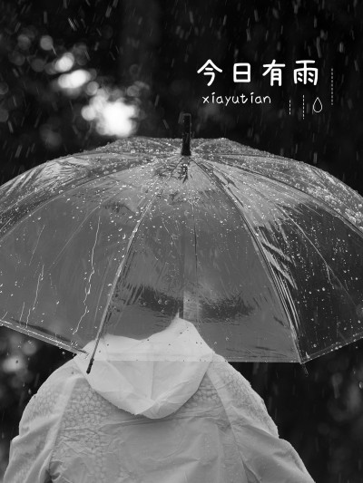 天气/情绪日常分享简约风plog模板