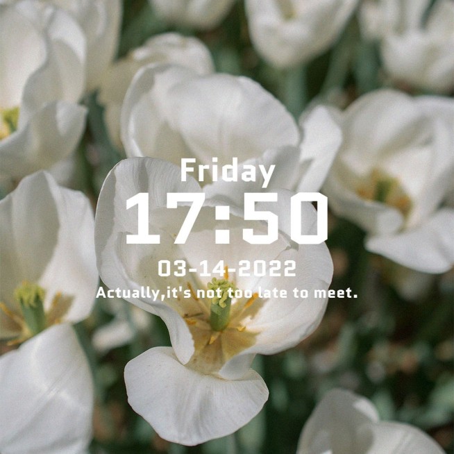 风景模拟界面简约风plog模板预览效果