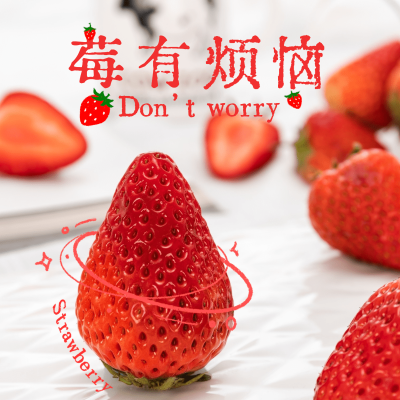 春节晒图春节祝福新年祝福春节新年莓有烦恼节日祝福plog模板