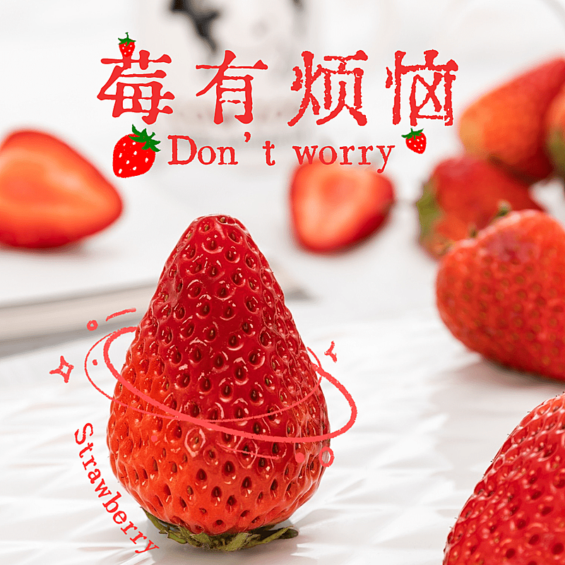 春节晒图春节祝福新年祝福春节新年莓有烦恼节日祝福plog模板