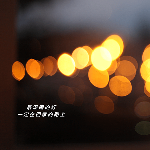春节晒图春节祝福新年祝福春运过年plog模板