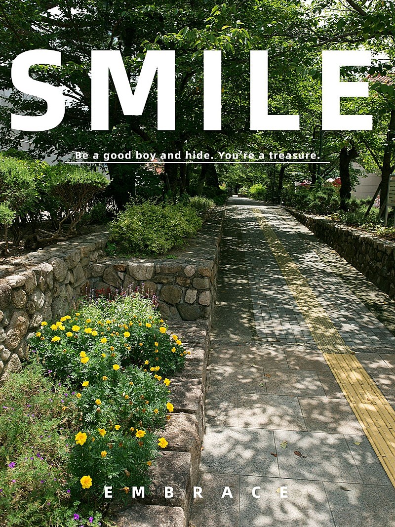 道路风景照杂志风plog模板