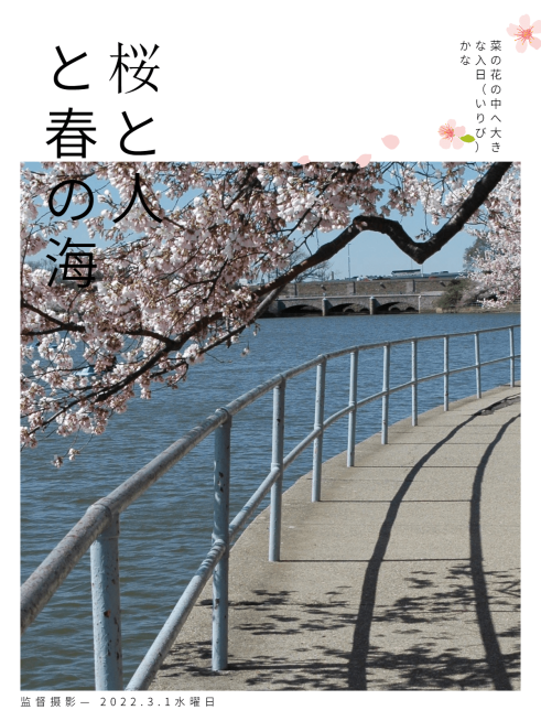 日本杂志樱花杂志封面文艺风plog模板预览效果