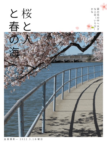 日本杂志樱花杂志封面文艺风plog模板