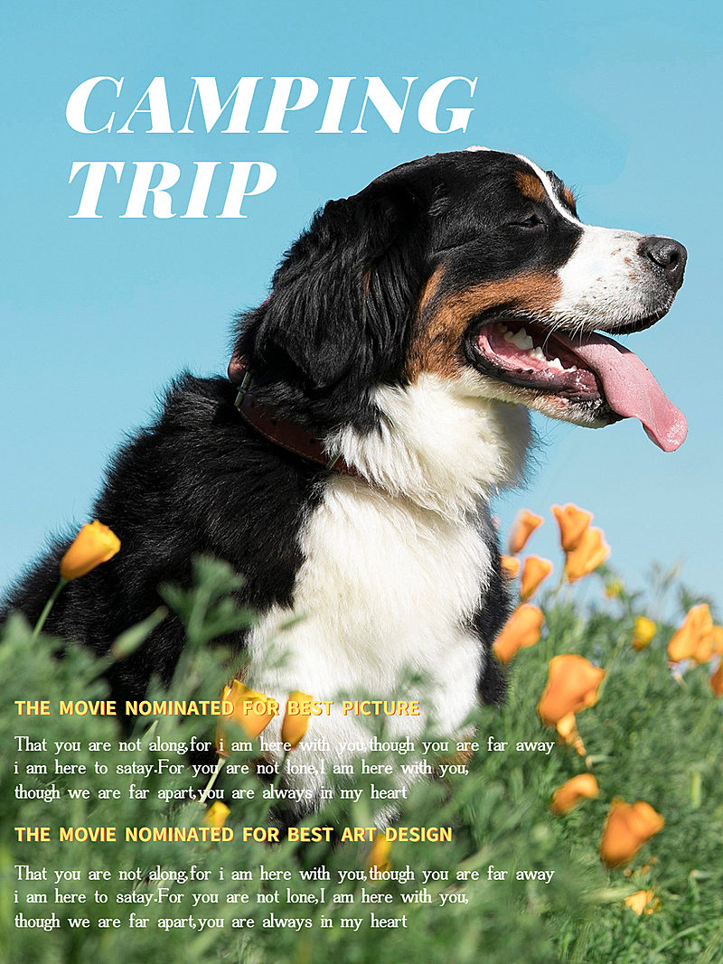 晒照郊游野餐宠物杂志风Plog模板