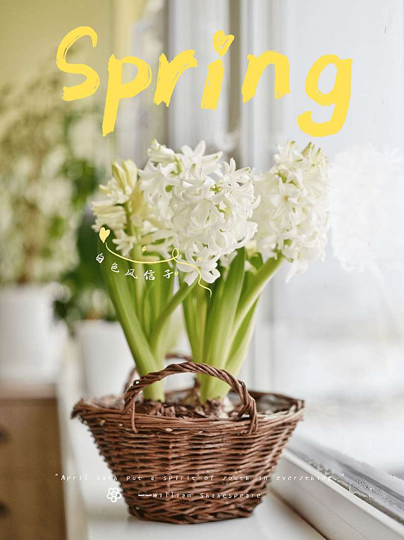 春天郊游花草春季plog模板