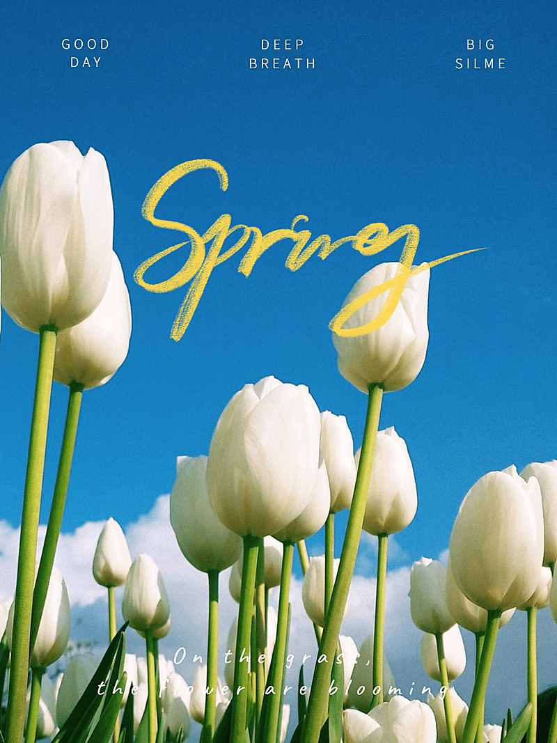 春天郊游花草春季plog模板