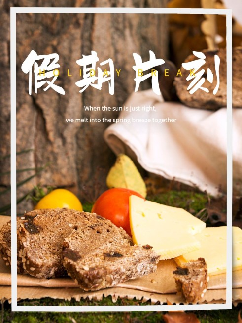 摄影排版日常分享清新风plog模板预览效果