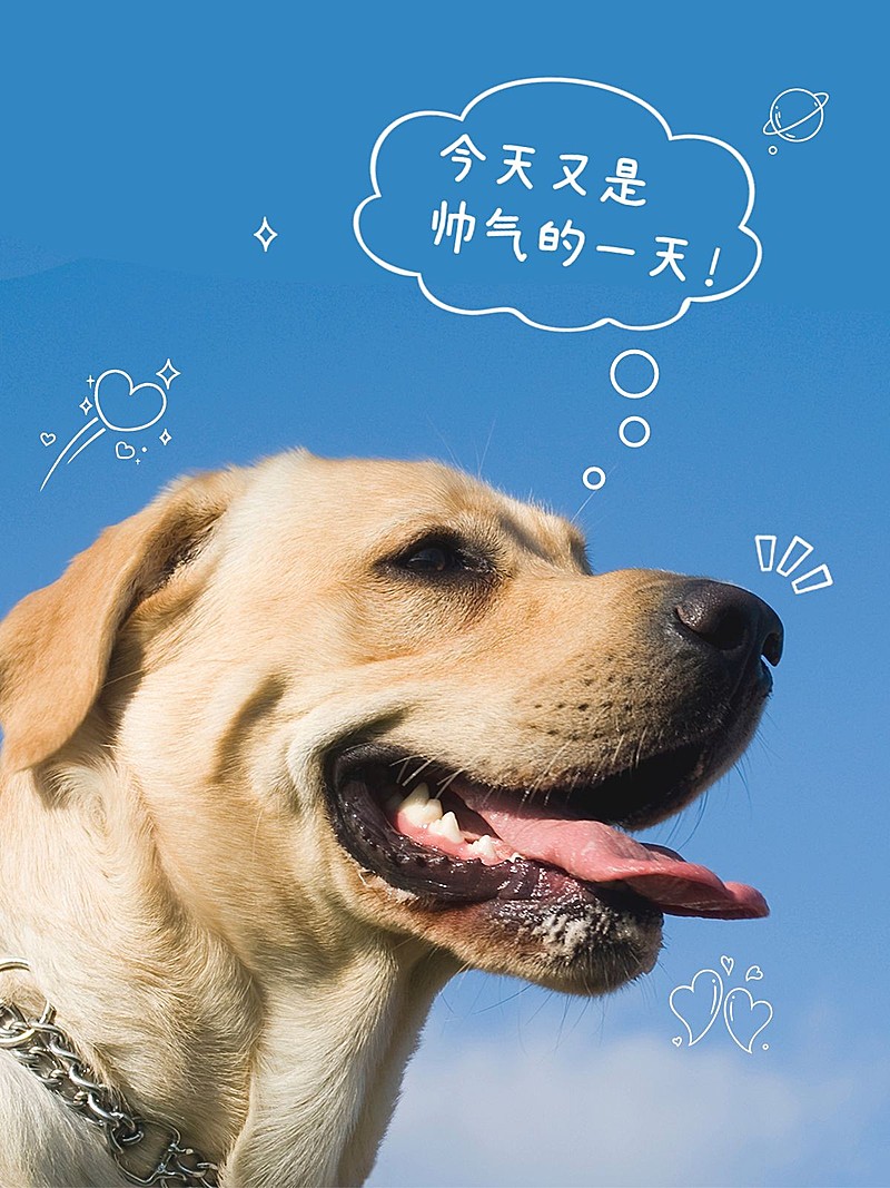 风景宠物旅游记录简约风plog模板