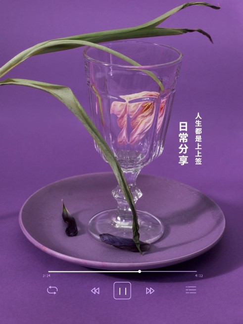 日常晒物鲜花简约界面风plog模板预览效果