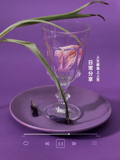 日常晒物鲜花简约界面风plog模板