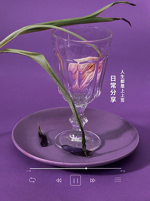 日常晒物鲜花简约界面风plog模板
