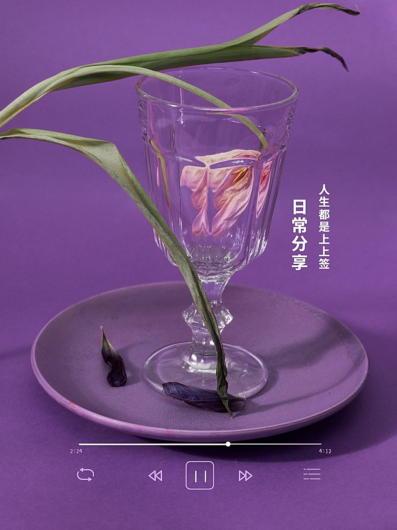 日常晒物鲜花简约界面风plog模板