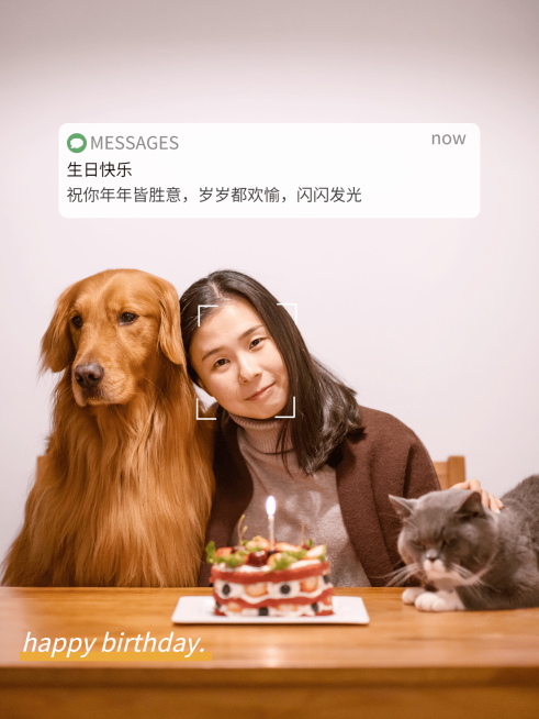 生日祝福模拟界面简约风plog模板预览效果