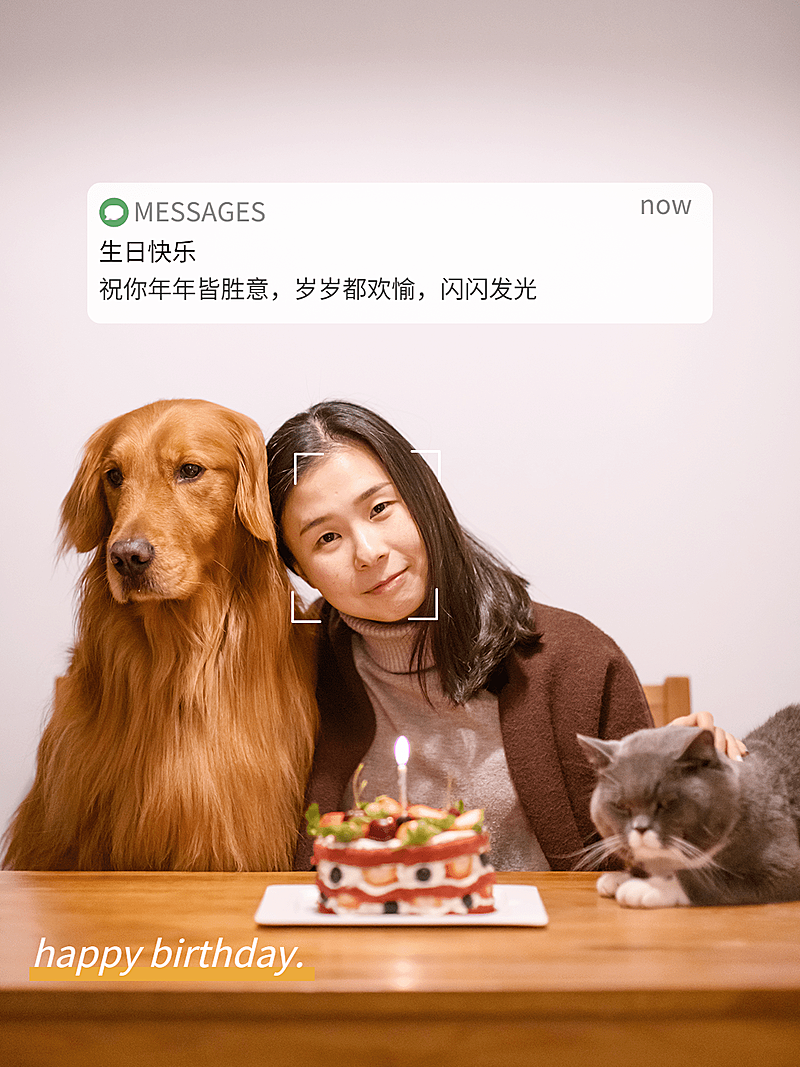 生日祝福模拟界面简约风plog模板