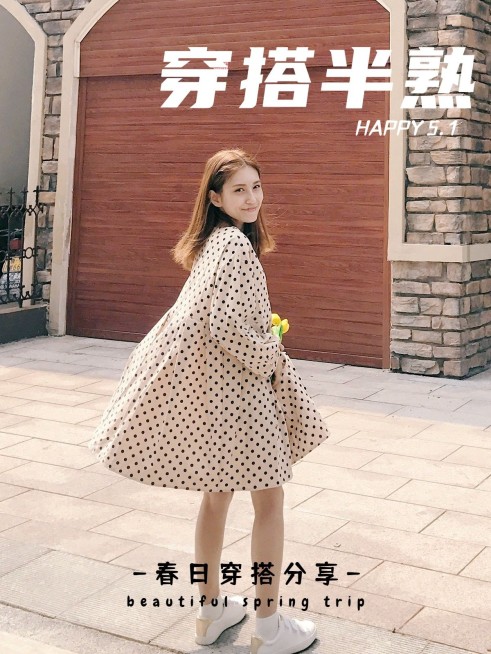 Ootd节日街拍穿搭攻略简约风plog模板预览效果