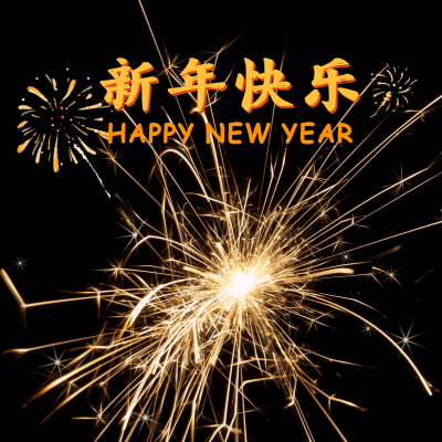 春节晒图春节祝福新年祝福春节新年烟花节日祝福plog模板