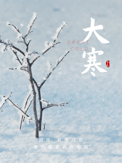 大寒晒图二十四节气冬天plog模板预览效果