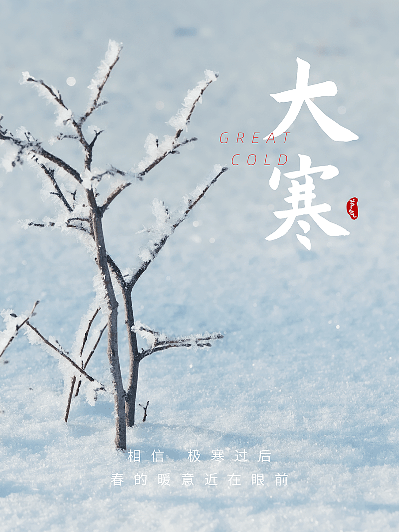 大寒晒图二十四节气冬天plog模板