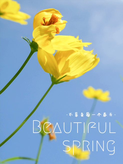 天空/云朵风景照简约风plog模板预览效果