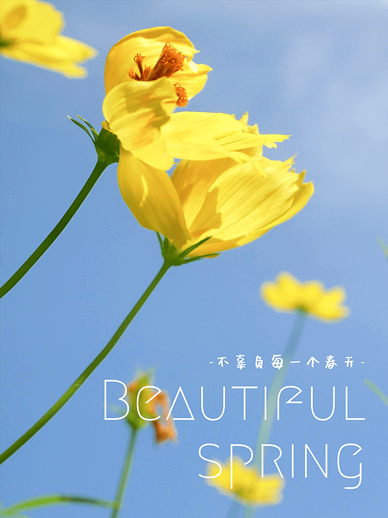 天空/云朵风景照简约风plog模板