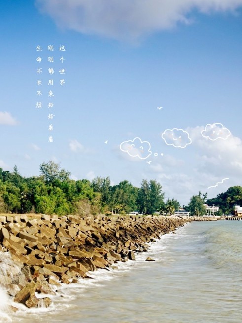 旅游街景简约风plog模板预览效果