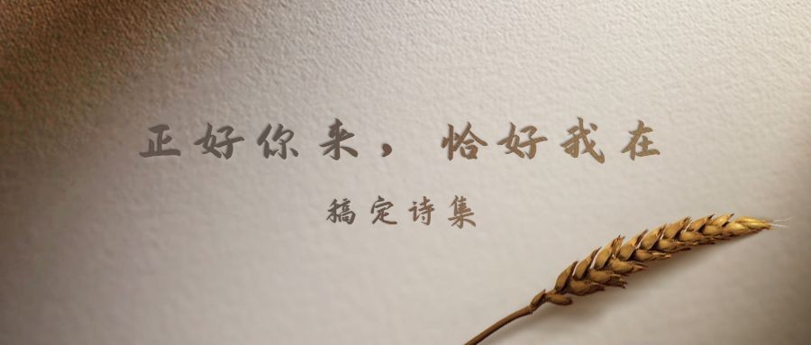 读书日诗集文学纸张质感公众号首图预览效果