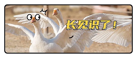 凡尔赛文学震惊动物趣味公众号首图