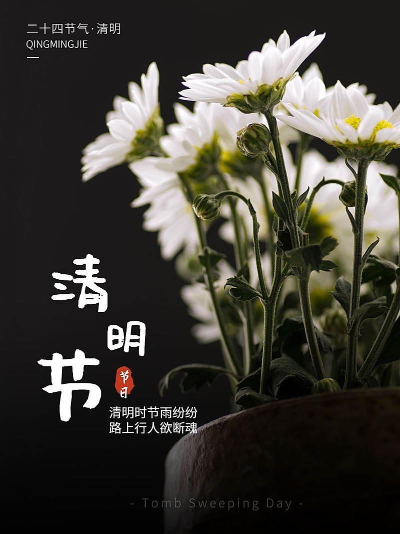 清明节祭祖赏花节日祝福简约风plog模板