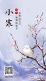 模板缩略图