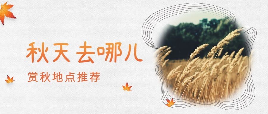 秋天去哪儿清新公众号首图
