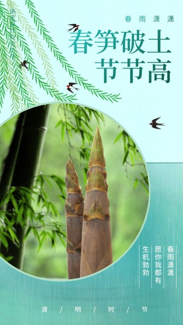 春笋破土节节高节气习俗展示预览效果